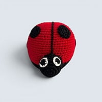 Ladybird Large Rattle