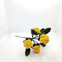 Rose Flower Burst