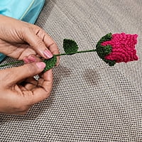 Rose Large Flower Dark Pink