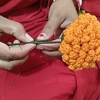 Marigold Small Flower Yellow