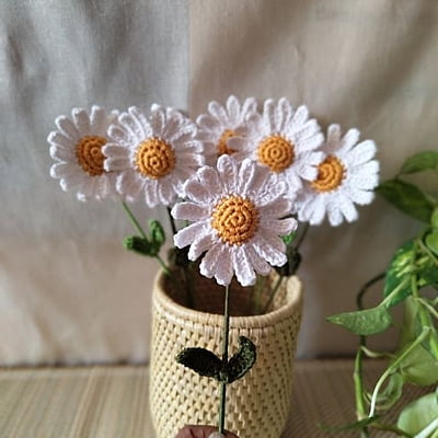Daisy Large Flower White Daisy Large Flower White
