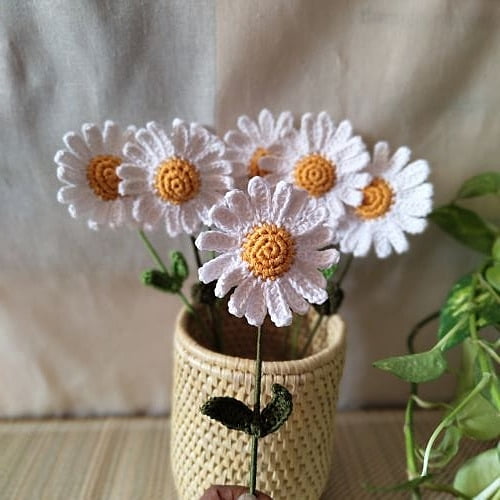 Daisy Large Flower White