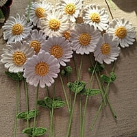 Daisy Large Flower White