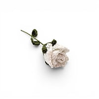 Rose Large Flower White Rose Large Flower White