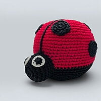 Ladybird Large Rattle