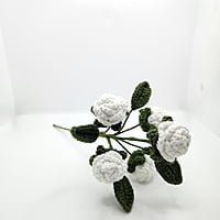 Rose Flower Burst