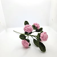 Rose Flower Burst