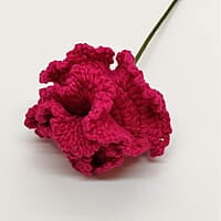 Carnation Large Flower