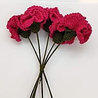 Carnation Large Flower
