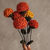 Marigold Large Flower Dark Orange
