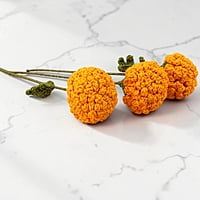 Marigold Large Flower Yellow