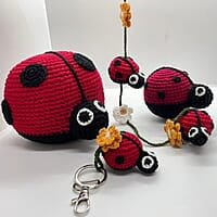 Ladybird Hanging