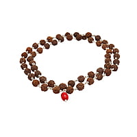 Rudraksha mala silver with pendant/Dollar for men