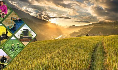 Virtual Classroom & Webinar Platform