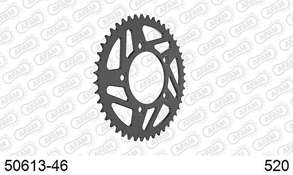AFAM Rear Sprocket (50613-46)