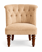 Ludovic Accent Bucket Chair