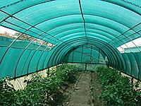 Agriculture Shade Green Net(3x50m)