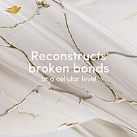 Dove Peptide Bond Strength Shampoo for Dry & Damaged Hair - 340 ml |