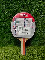STAG TABLE TENNINS CHAMPIONSHIP BAT
