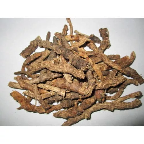 Katuka Rohini - Picrorhiza Kurroa
