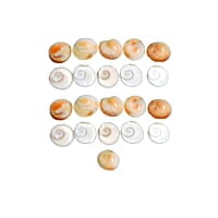 Natural Real Gomti Chakra 11 Pcs