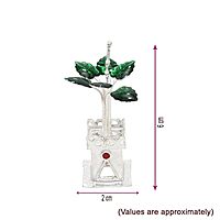 Silver Tulasi Madam / Plant