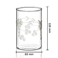 Borosil 350 ml Set of 6 pcs Berry Vision Transparent Drinking Glass | Borosilicate Glass Tumblers for Water, Cold Drinks, Juice| Flame Proof, Microwave & Dishwasher Safe | for Daily use & Gifting