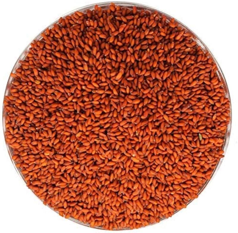 Aliv seeds
