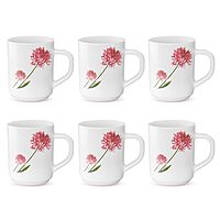 BOROSIL COFFEEMATE 300