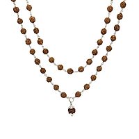 Silver tied Rudraksha Mala With Ruthratcham Pendant|With Certificate