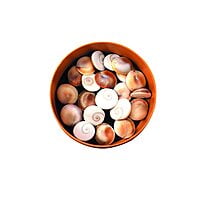 Gomti Chakra 21 Pcs Astrological and goddess lakshmi poja use