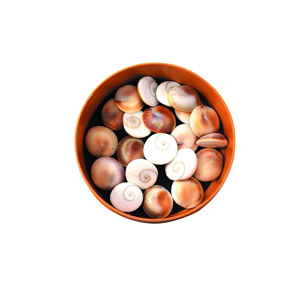 Gomti Chakra 21 Pcs