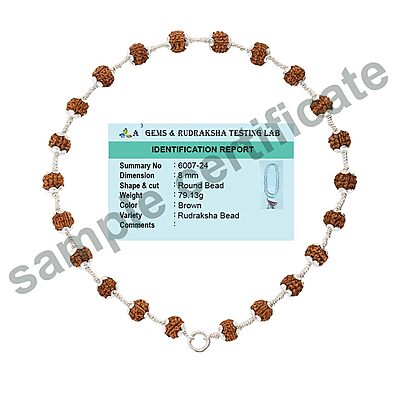 925 Silver Tied Rudraksha Mala Ruthratcham |Ayyappan Pendant Silver ,Certified 925 Silver Tied Rudraksha Mala Ruthratcham |Ayyappan Pendant Silver ,Certified