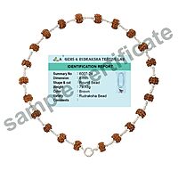Original Rudraksha Mala in Silver with Vel Pendant Certified