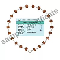 Original Rudraksha Mala in Silver with Om Pendant | Certified