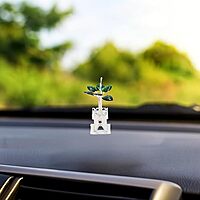 Silver Tulasi Madam / Plant