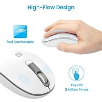 Portronics Toad 11 Wireless Mouse, 2.4 GHz Connectivity with USB Nano Dongle, Adjustable DPI Up To 1600, Ambidextrous for Laptop, MacBook, PC