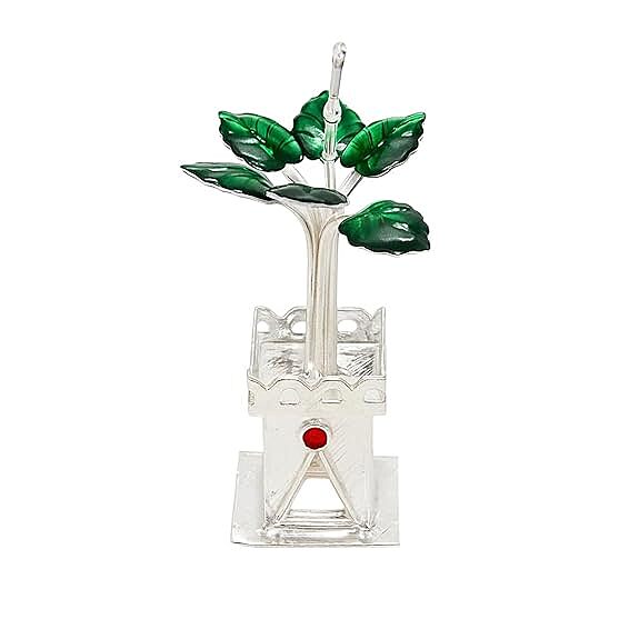Silver Tulasi Madam / Plant