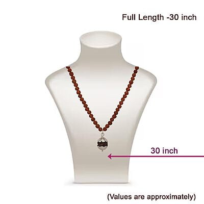 Rudraksha Mala/Chain with Rudraksha Pendent/Dollar