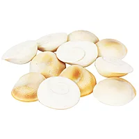 Gomti Chakra 21 Pcs Astrological and goddess lakshmi poja use
