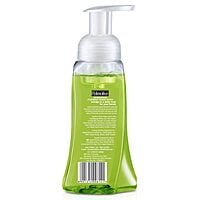 Palmolive Foaming Hand Wash