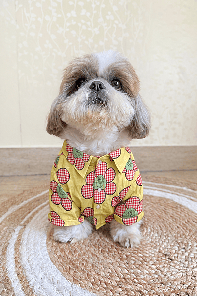 Yellow Sunflower Bloom Shirt