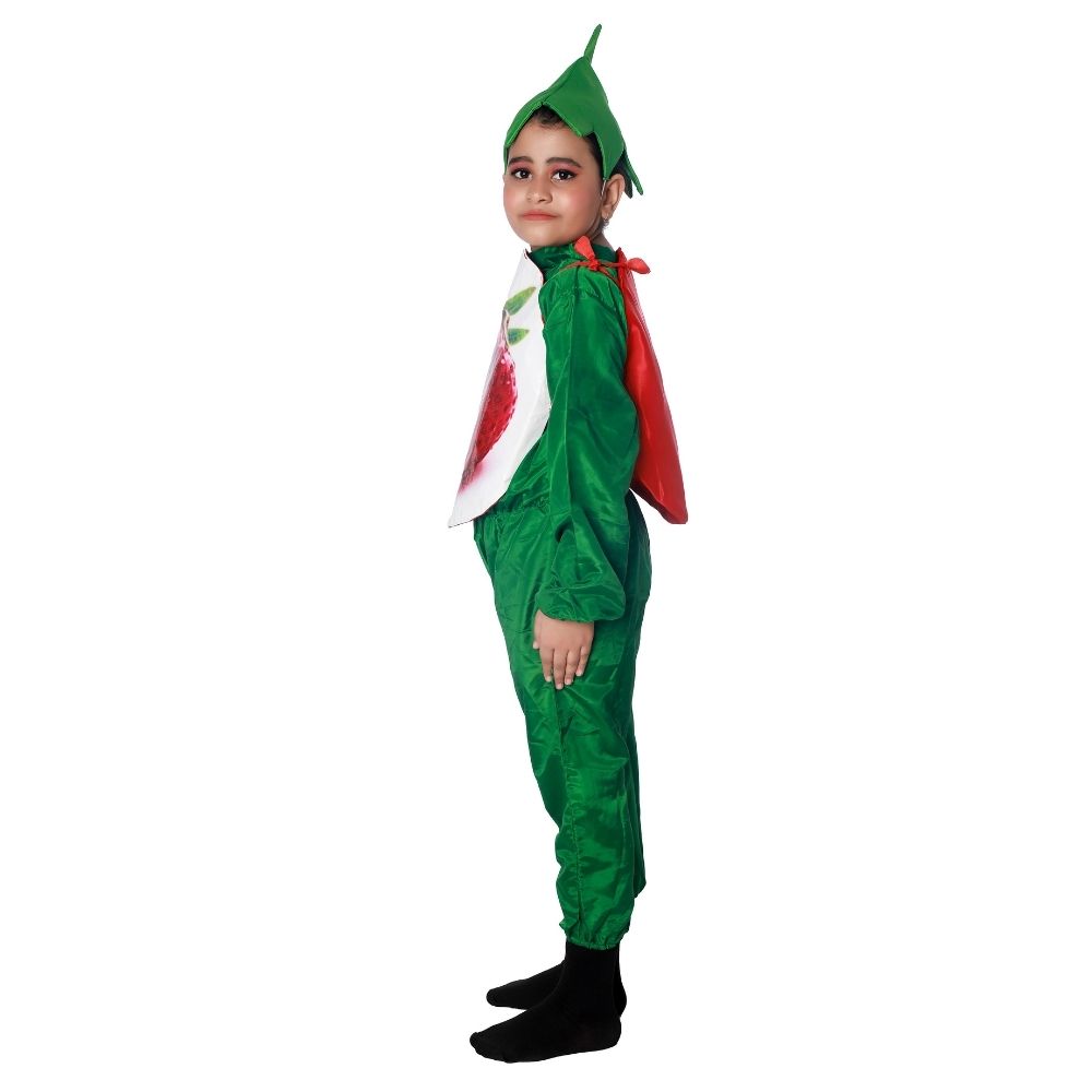 Strawberry Fancy Dress Costume Strawberry Fancy Dress Costume