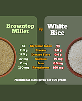 Browntop Millet | Unpolished and Roasted
