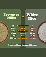 Browntop Millet | Unpolished and Roasted
