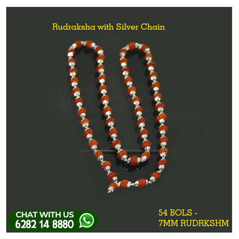 rudraksha with silver chain