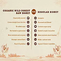 Raw Wild Forest Honey