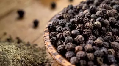 Karimenasu - Black Pepper (P)
