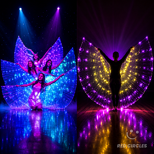 LED WINGS PERFORMANCE