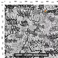 54985 Graffiti Scriptscape